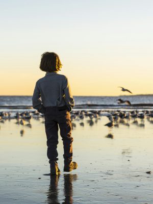 6 year old boy and seagulls, St. Simon's Island, Georgia